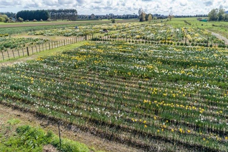 Photo of property in 457 Muhunoa Road East, Muhunoa East, Levin, 5570