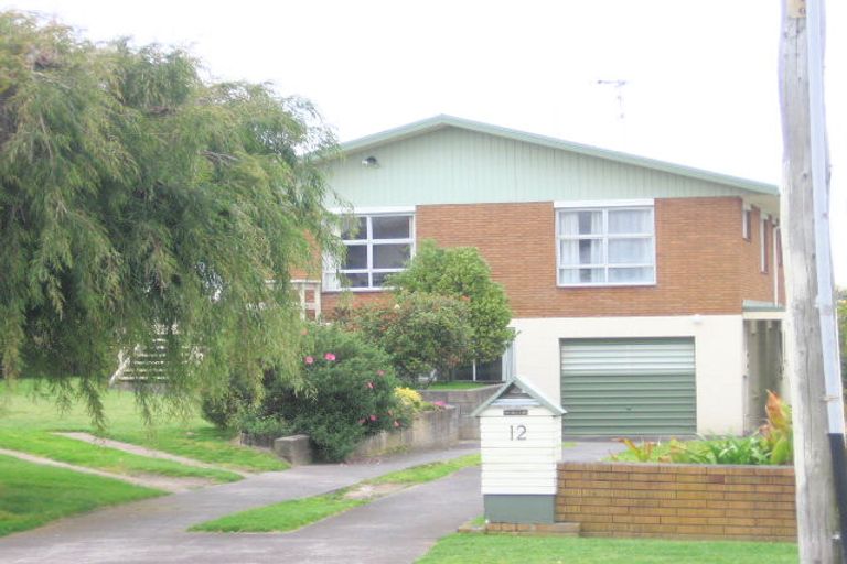 Photo of property in 12 Moa Street, Mount Maunganui, 3116