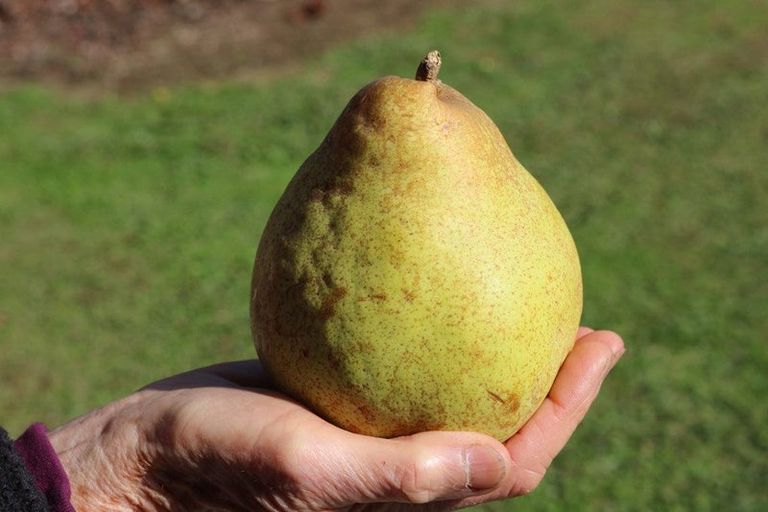 Photo of property in 233 Fencourt Road, Cambridge, 3493