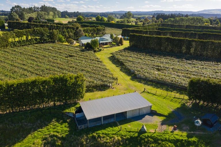 Photo of property in 585d Mclaren Falls Road, Omanawa, Tauranga, 3171