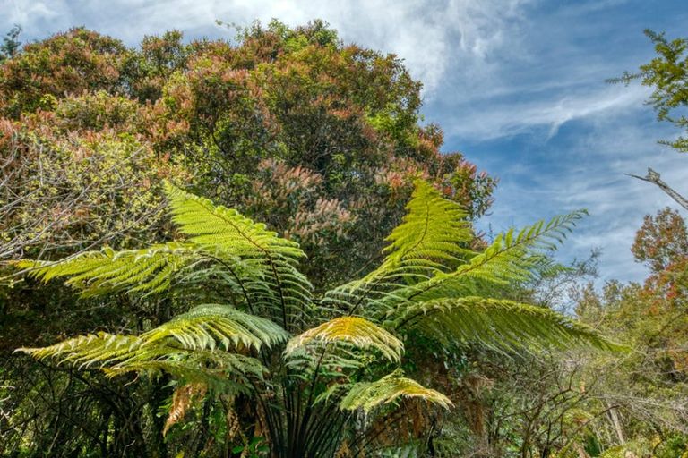 Photo of property in 120 Brickfield Road, Seaview, Hokitika, 7882