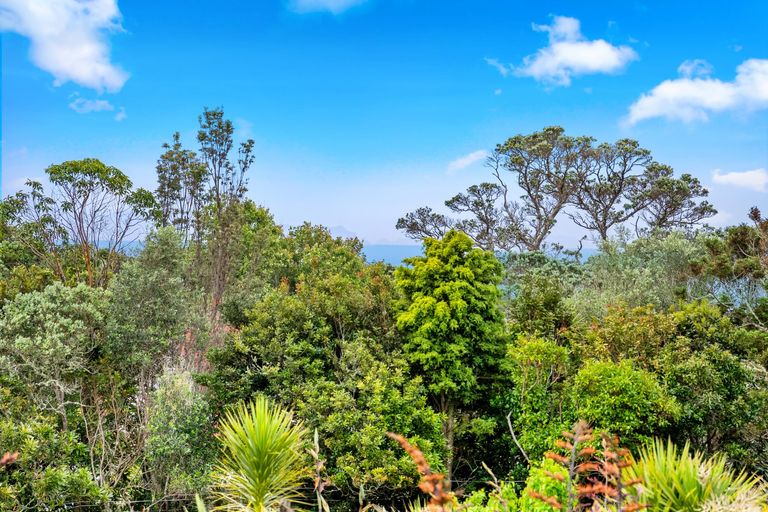 Photo of property in 87 M Greenwood Road, Leigh, 0972