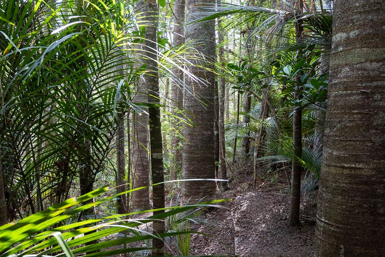 Photo of property in 71 Schollum Road, Big Omaha, Warkworth, 0985