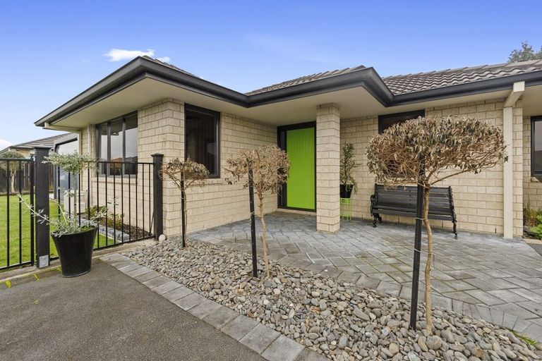 Photo of property in 50 Matipo Street, Matamata, 3400