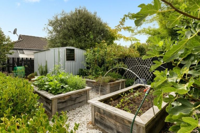 Photo of property in 13 Harvey Street, Tauranga South, Tauranga, 3112