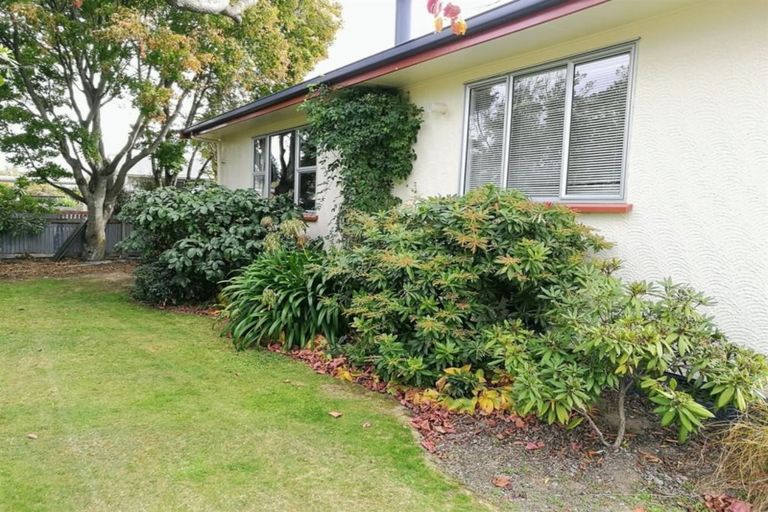 Photo of property in 13 Campbell Street, Geraldine, 7930