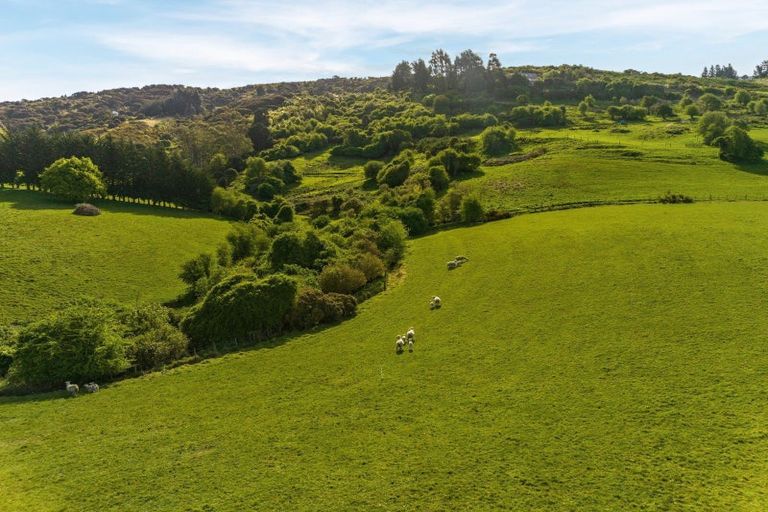 Photo of property in 195 Wakari Road, Helensburgh, Dunedin, 9010