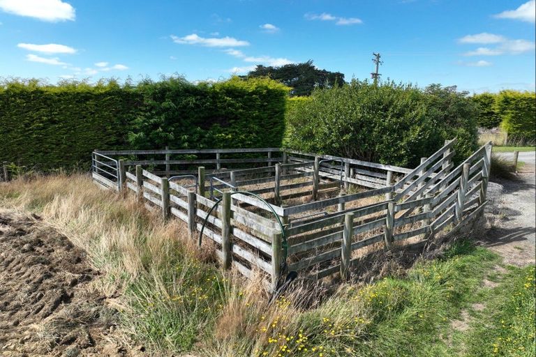 Photo of property in 405 Mill Road North, Myross Bush, Invercargill, 9876