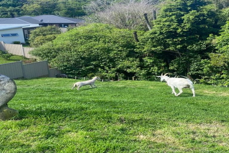 Photo of property in 2 Fern Lane, Whalers Gate, New Plymouth, 4310