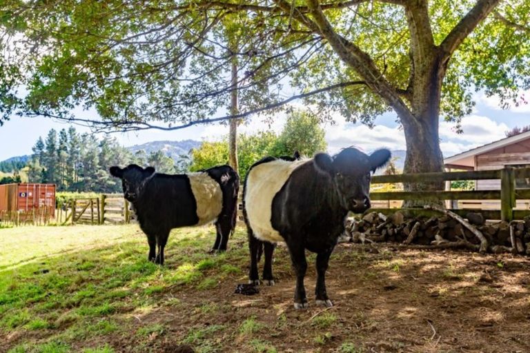 Photo of property in 125 Rangiora Road, Reikorangi, Waikanae, 5391