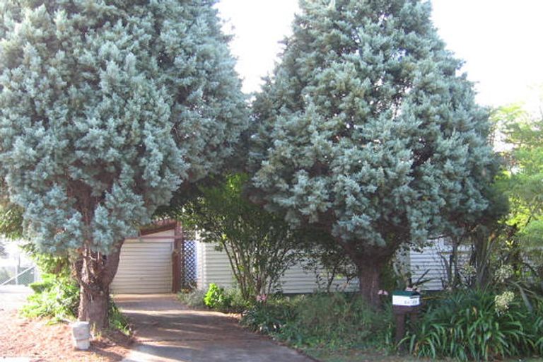 Photo of property in 84 Glen Marine Parade, Glendene, Auckland, 0602