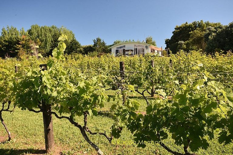 Photo of property in 245 Metcalfe Road, Matakohe, 0593