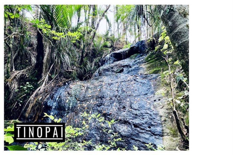 Photo of property in 1509 Tinopai Road, Tinopai, Matakohe, 0593