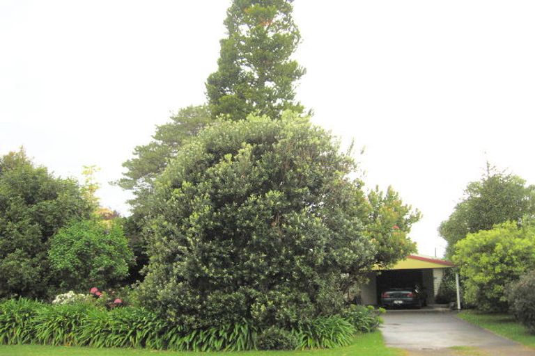 Photo of property in 36 Sedgewick Road, Opotiki, 3122