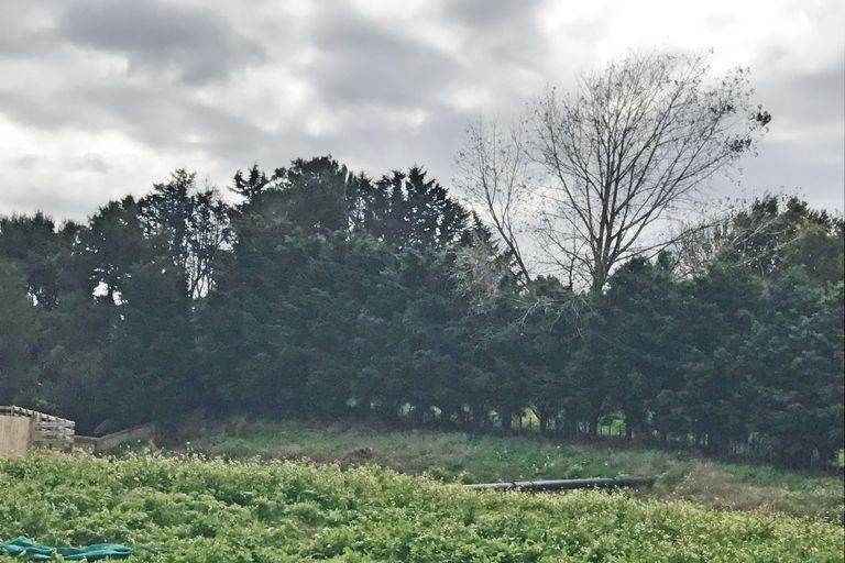 Photo of property in 2 Rees Way, Tuakau, 2121