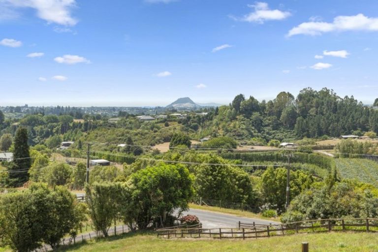 Photo of property in 162 Pukemapu Road, Oropi, Tauranga, 3173