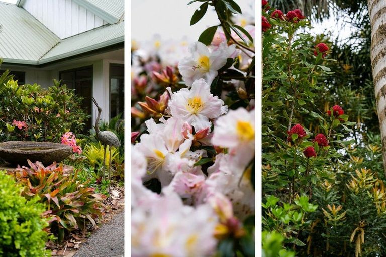 Photo of property in 40 Walden Lane, Minden, Tauranga, 3171