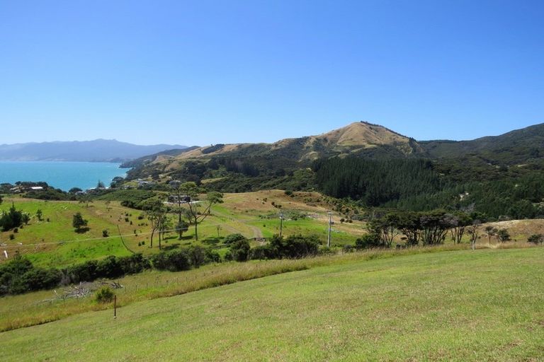 Photo of property in 1594 Colville Road, Amodeo Bay, Coromandel, 3584