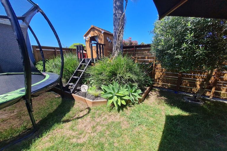 Photo of property in 49a Campbell Road, Mount Maunganui, 3116