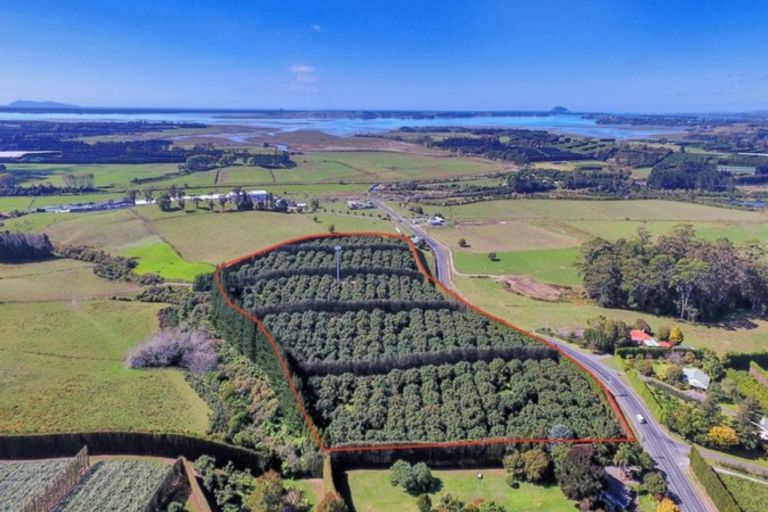 Photo of property in 50 Wright Road, Dairy Flat, Albany, 0794