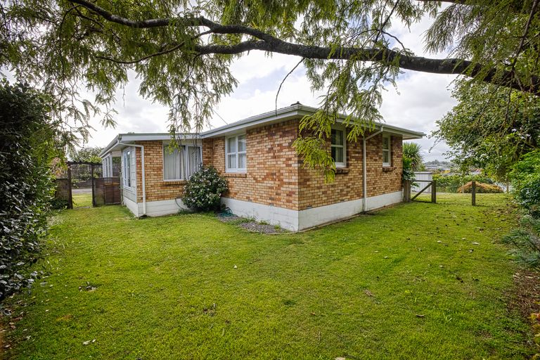 Photo of property in 326 Mandeno Street, Te Awamutu, 3800