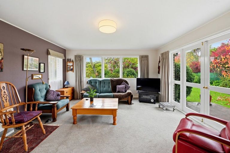 Photo of property in 3 Solly Place, Springfield, Rotorua, 3015