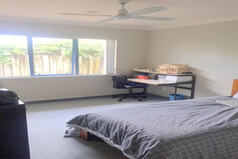 Photo of property in 24 Rochester Place, Bethlehem, Tauranga, 3110