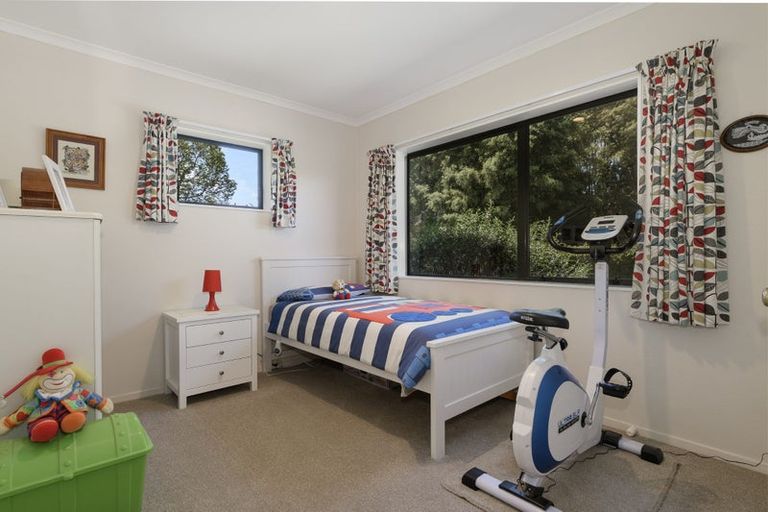 Photo of property in 928 Omanawa Road, Omanawa, Tauranga, 3171