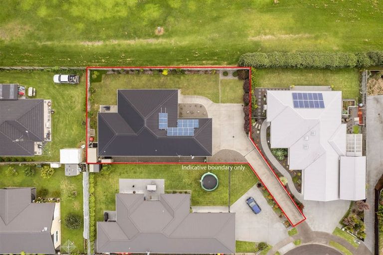 Photo of property in 19 Nolan Place, Katikati, 3129