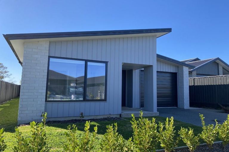 Photo of property in 73 Heartwood Avenue, Omokoroa, 3114