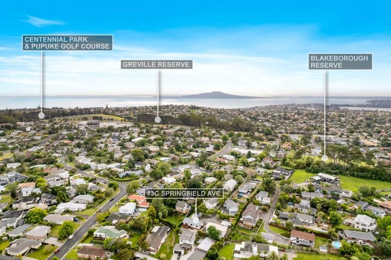 Photo of property in 3/13 Springfield Street, Forrest Hill, Auckland, 0620