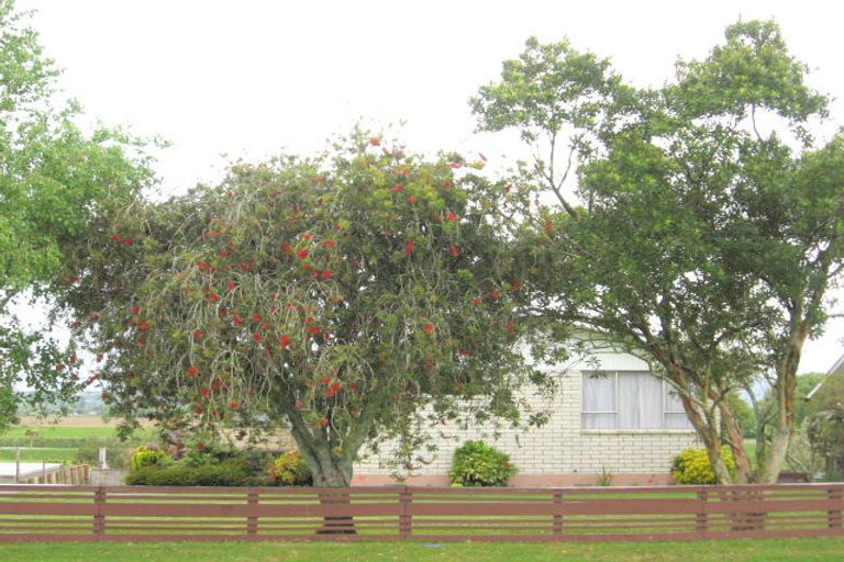 Photo of property in 30 Sedgewick Road, Opotiki, 3122