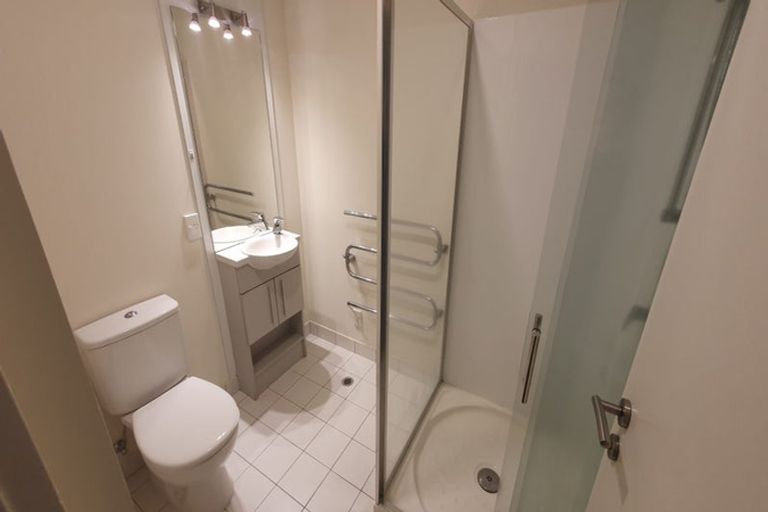 Photo of property in Luna Apartments, 1n/16 Burton Street, Grafton, Auckland, 1010
