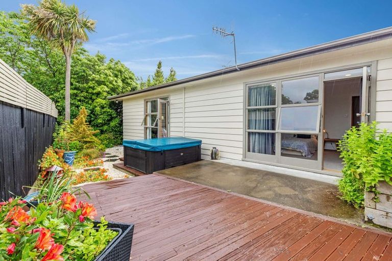 Photo of property in 38 Winston Avenue, Hokowhitu, Palmerston North, 4410