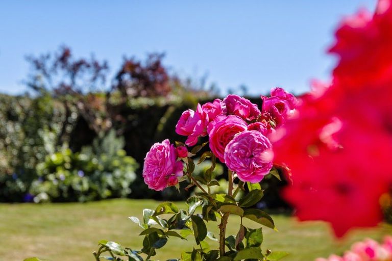 Photo of property in 33 Thomas Street, Ranfurly, 9332