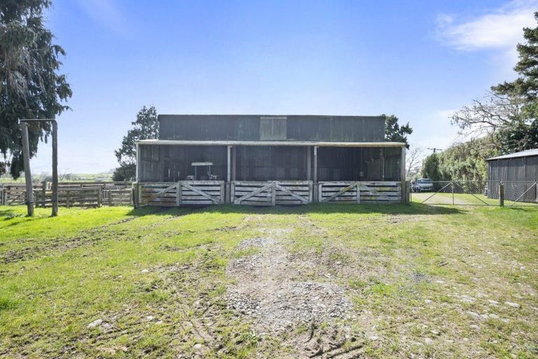 Photo of property in 352 Jeffersons Line, Marton, 4788