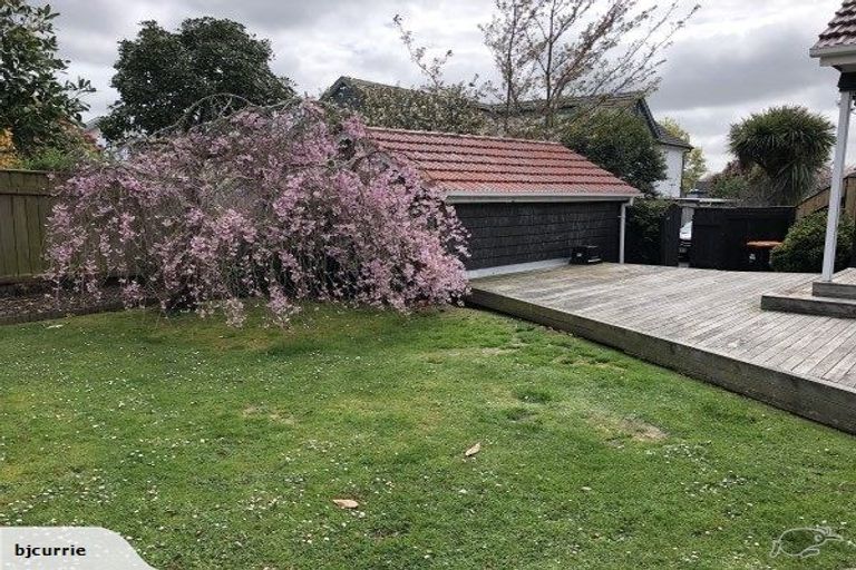 Photo of property in 16 Collingwood Street, Hokowhitu, Palmerston North, 4410
