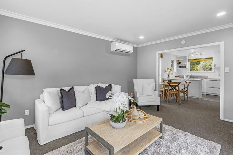 Photo of property in 41 Sandwich Road, Beckenham, Christchurch, 8023