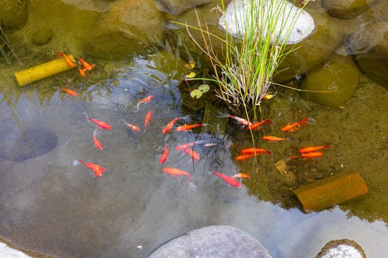 Photo of property in 25 Havenbrook Way, Pyes Pa, Tauranga, 3112