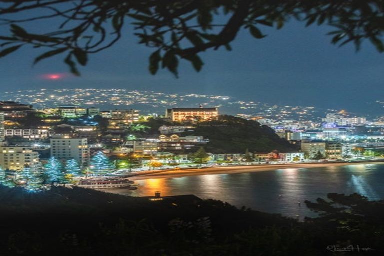 Photo of property in 182 Oriental Parade, Oriental Bay, Wellington, 6011