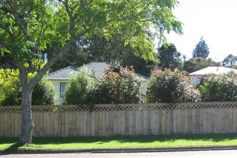 Photo of property in 101 Arapuni Street, Putaruru, 3411