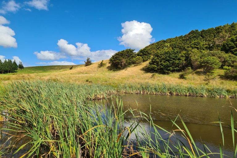 Photo of property in 304 Arapaoa Road, Tinopai, Matakohe, 0593