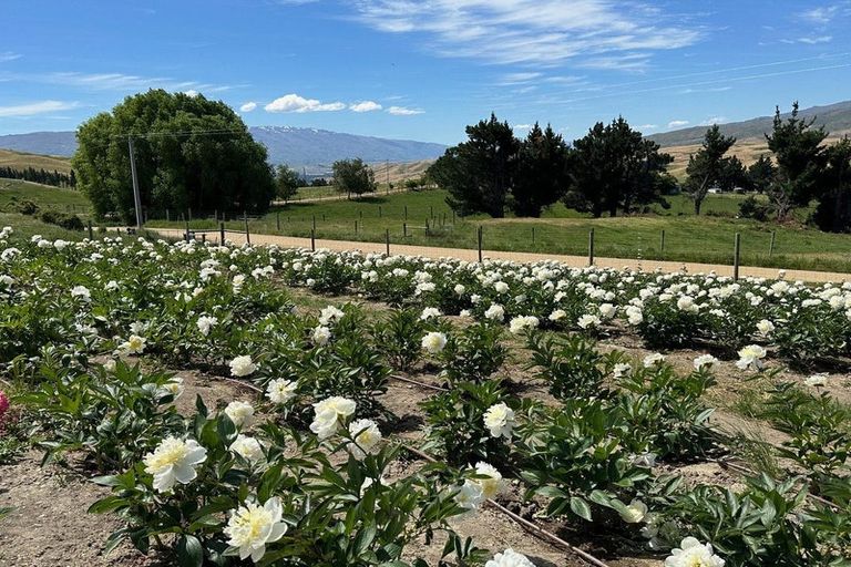 Photo of property in 218 Hawksburn Road, Nevis, Cromwell, 9384