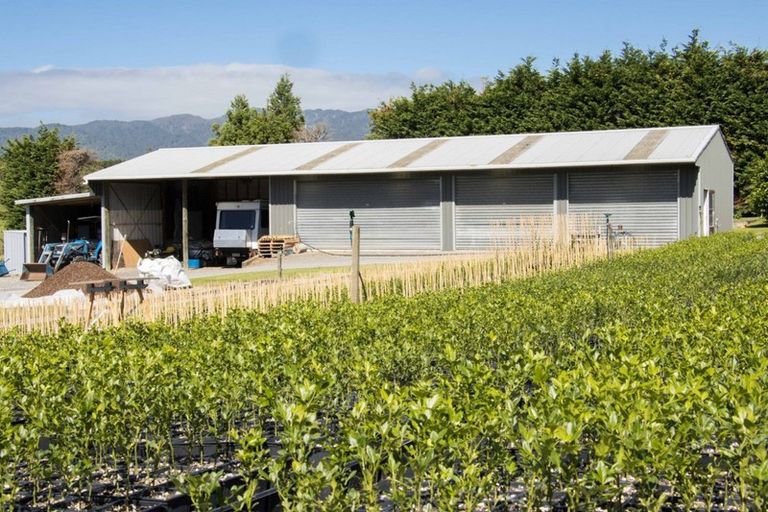 Photo of property in 67 Busby Road, Katikati, 3170