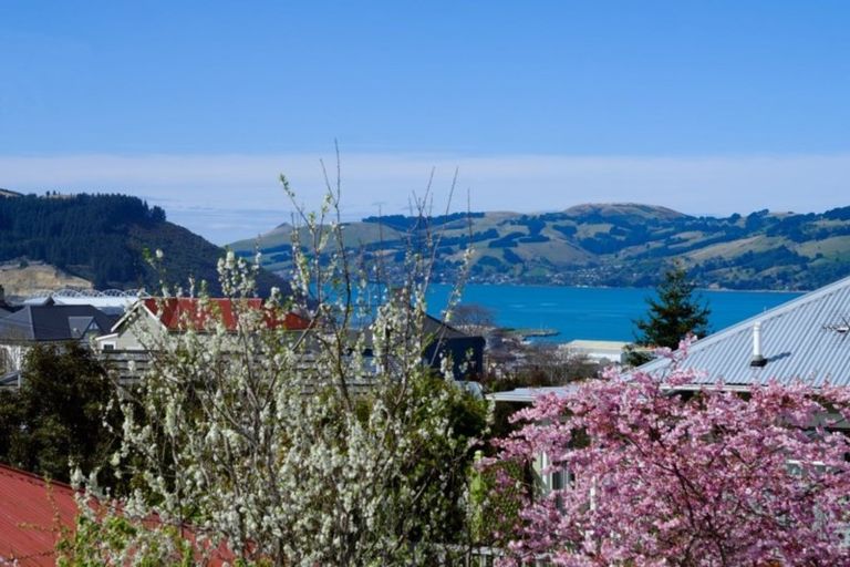 Photo of property in 43a Duncan Street, Dunedin Central, Dunedin, 9016