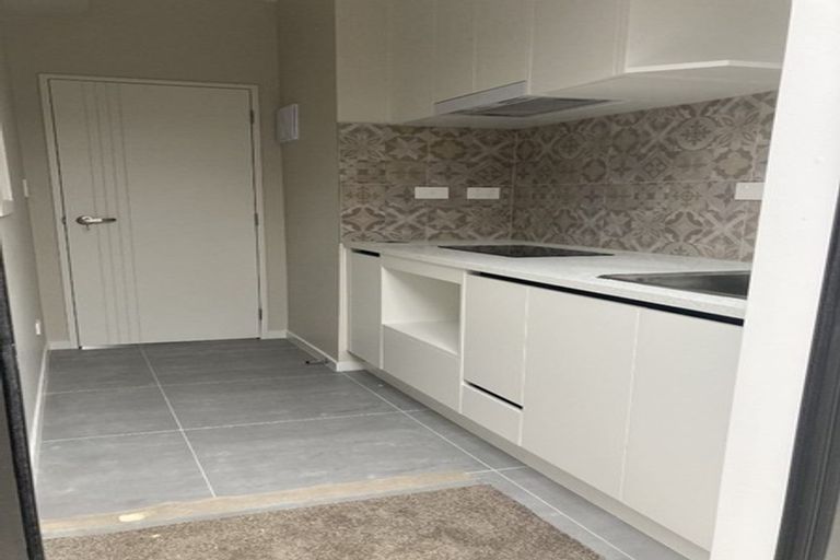 Photo of property in 4 Morepork Street, Flat Bush, Auckland, 2019