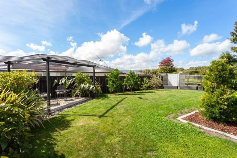 Photo of property in 35 Banks Road, Matamata, 3400