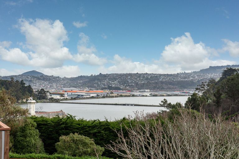 Photo of property in 14 Heath Street, Andersons Bay, Dunedin, 9013
