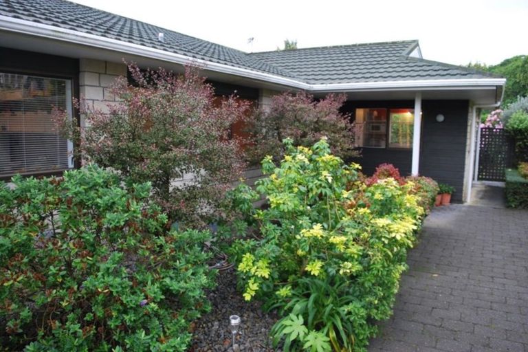 Photo of property in 55 Belvedere Avenue, Waikanae, 5036