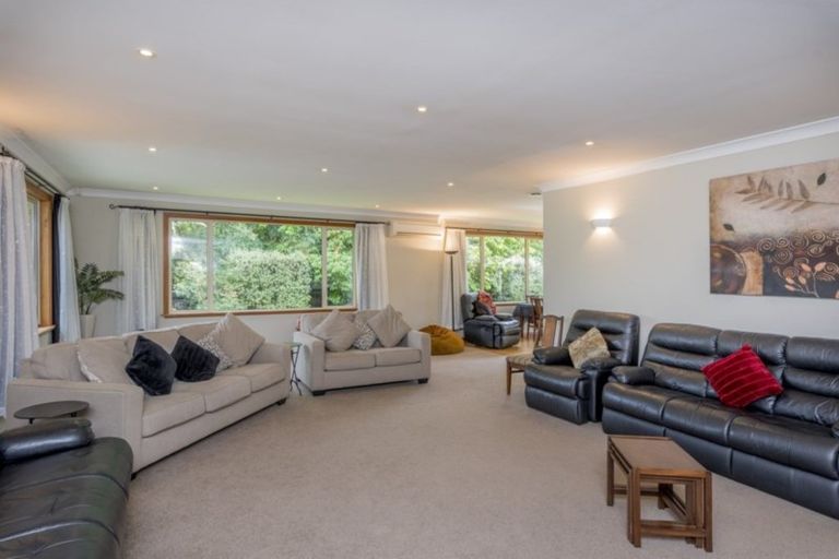 Photo of property in 50 Chester Street, Levin, 5510